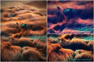 petemcnally_blog_grass_tea_experiment