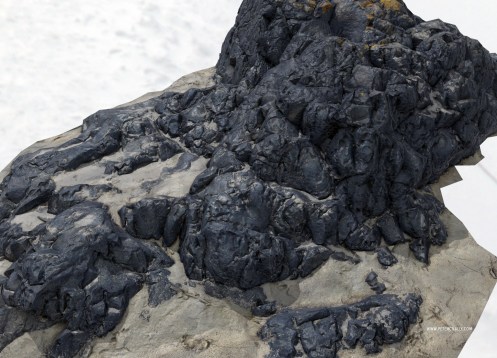 petemcnally_3d_rockyscan02