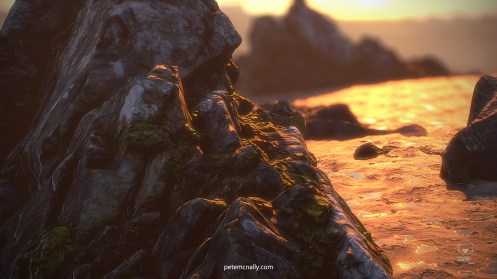 Petemcnally_rocks_closeup