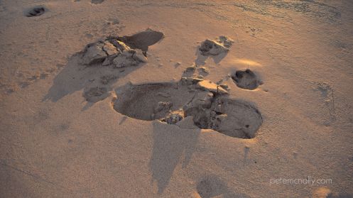 petemcnally_3d_scan_sand01