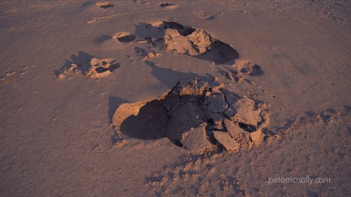 petemcnally_3d_scan_sand03