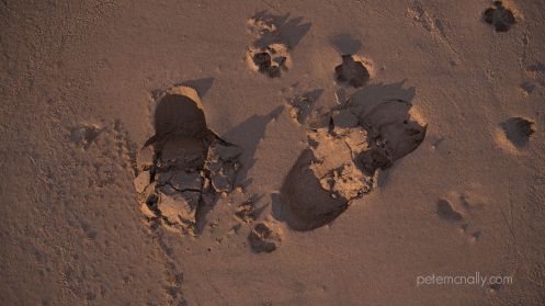 petemcnally_3d_scan_sand04