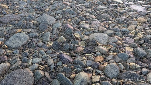 pebblesmaterial_petemcnally_06